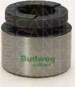 Triscan 8170 233624 - Piston, brake caliper car-mod.net
