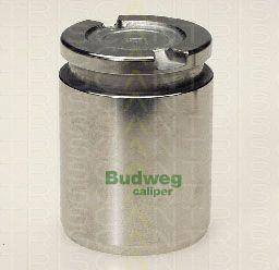 Triscan 8170 233815 - Piston, brake caliper car-mod.net