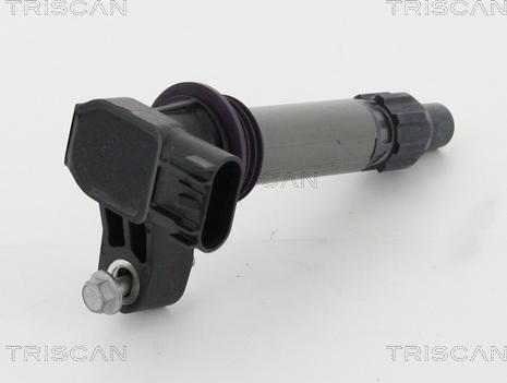 Triscan 8860 10024 - Ignition Coil car-mod.net