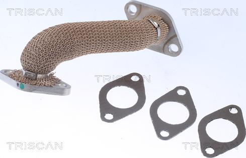 Triscan 8811 29105 - Pipe, EGR valve car-mod.net