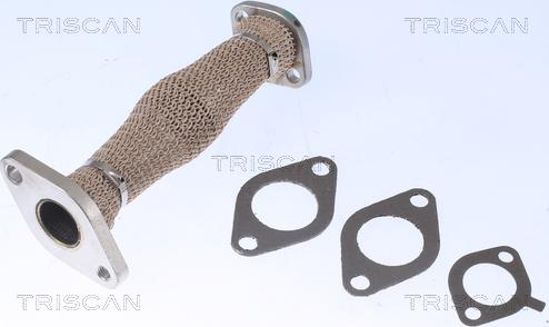 Triscan 8811 29103 - Pipe, EGR valve car-mod.net