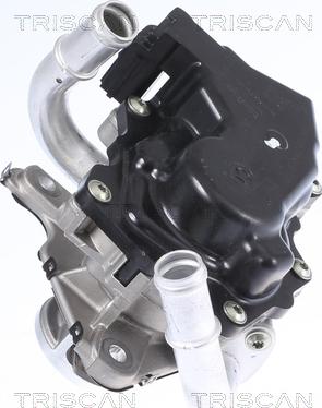 Triscan 8813 29058 - EGR Valve car-mod.net