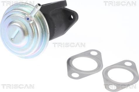 Triscan 8813 29016 - EGR Valve car-mod.net