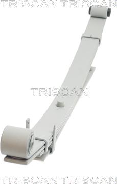 Triscan 876543004 - Spring Pack car-mod.net
