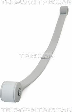 Triscan 876516046 - Spring Pack car-mod.net