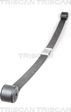 Triscan 876516039 - Spring Pack car-mod.net