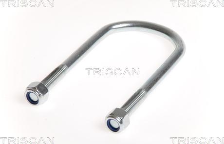 Triscan 8765 100011 - Spring Clamp car-mod.net