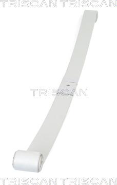Triscan 876510008 - Spring Pack car-mod.net