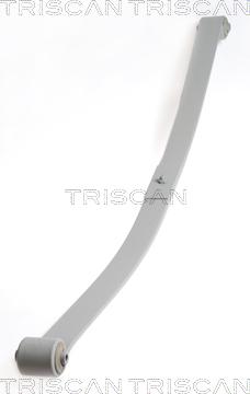 Triscan 8765 29019 - Spring Pack car-mod.net