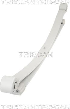 Triscan 876523025 - Spring Pack car-mod.net