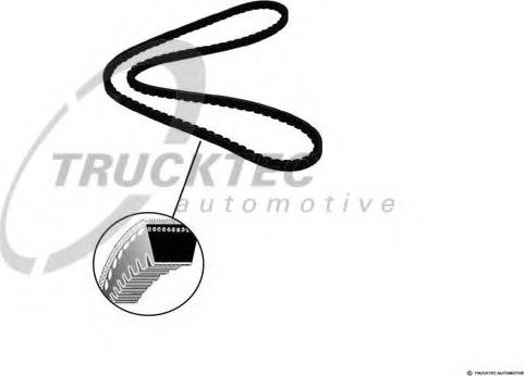 Trucktec Automotive 01.19.117 - Drive belt, V-Belt car-mod.net