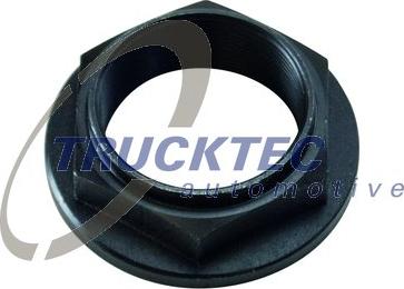 Trucktec Automotive 01.32.009 - Nut, bevel gear car-mod.net