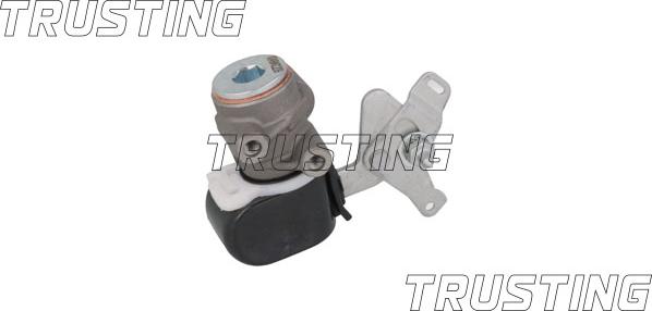 Trusting CT049 - Brake Power Regulator car-mod.net