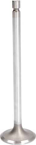 TRW 105-35632 - Inlet Valve car-mod.net