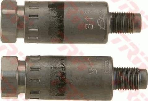 TRW GPV1273 - Brake Power Regulator car-mod.net