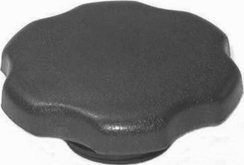 VAICO V40-0487 - Sealing Cap, expansion tank (power steering) car-mod.net
