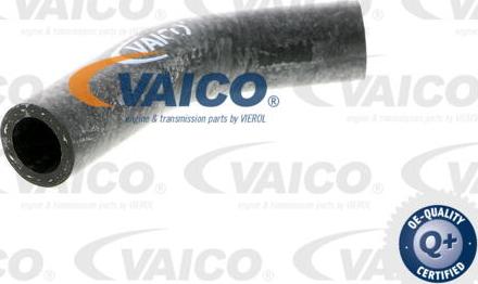VAICO V40-0367 - Radiator Hose car-mod.net