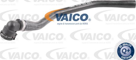 VAICO V40-2008 - Radiator Hose car-mod.net