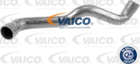 VAICO V50-0084 - Charger Intake Air Hose car-mod.net