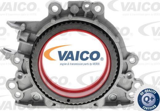 VAICO V10-4859 - Shaft Seal, crankshaft car-mod.net