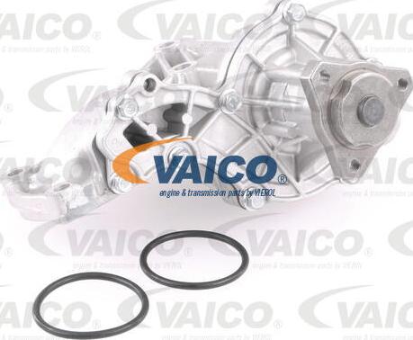 VAICO V10-50039 - Water Pump car-mod.net