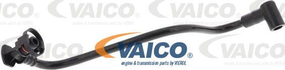 VAICO V10-6642 - Hose, crankcase breather car-mod.net