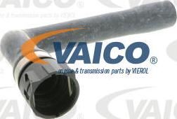 VAICO V10-0895 - Radiator Hose car-mod.net