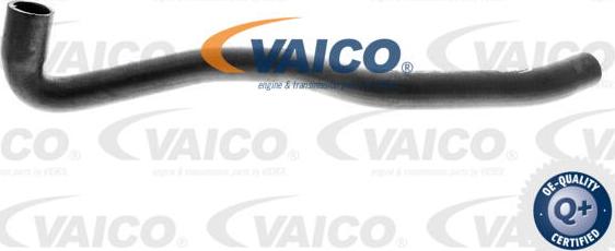 VAICO V10-0363 - Radiator Hose car-mod.net