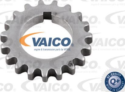 VAICO V10-5827 - Crankshaft Gear car-mod.net