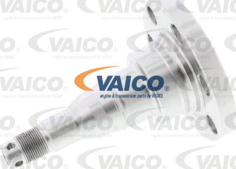 VAICO V10-1393 - Wheel Hub car-mod.net