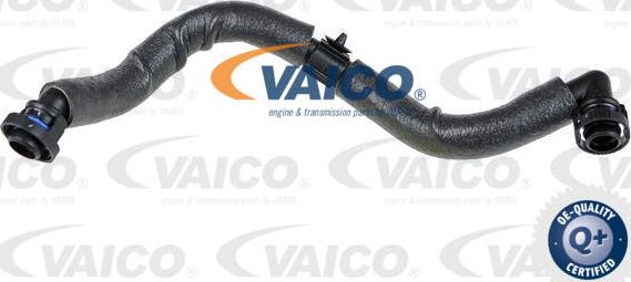VAICO V10-1794 - Hose, crankcase breather car-mod.net