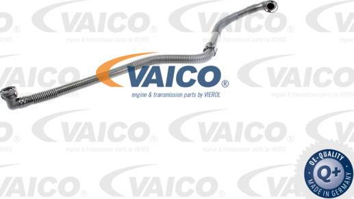 VAICO V10-3597 - Hose, air supply car-mod.net
