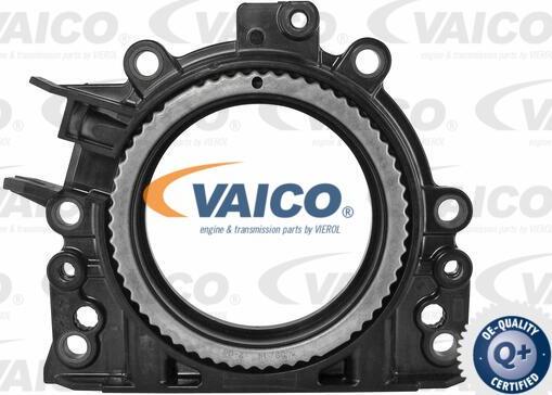 VAICO V10-3680 - Shaft Seal, crankshaft car-mod.net