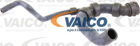 VAICO V10-3195 - Radiator Hose car-mod.net