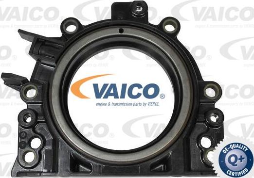 VAICO V10-3262 - Shaft Seal, crankshaft car-mod.net