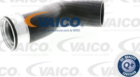 VAICO V10-2833 - Charger Intake Air Hose car-mod.net