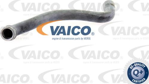 VAICO V30-1655 - Radiator Hose car-mod.net