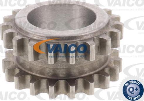 VAICO V25-2093 - Crankshaft Gear car-mod.net