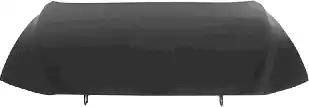 Van Wezel 5920660 - Bonnet, hood car-mod.net