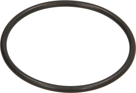 VDO A2C59516938 - Gasket / Seal car-mod.net