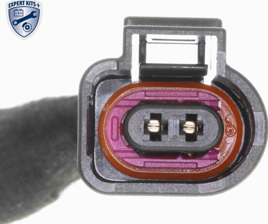 CARRO 038706050 - Licence Plate Light car-mod.net