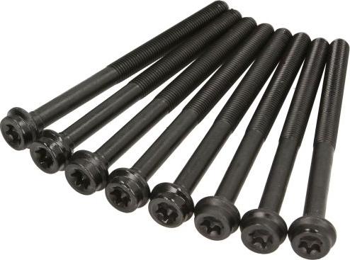 Victor Reinz 14-32106-01 - Bolt Kit, cylinder head car-mod.net
