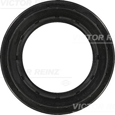 Victor Reinz 81-29412-00 - Shaft Seal, differential car-mod.net