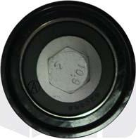 Vika 11091807801 - Deflection / Guide Pulley, timing belt car-mod.net