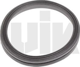 Vika 11031825701 - Timing Case Gasket, engine timing car-mod.net