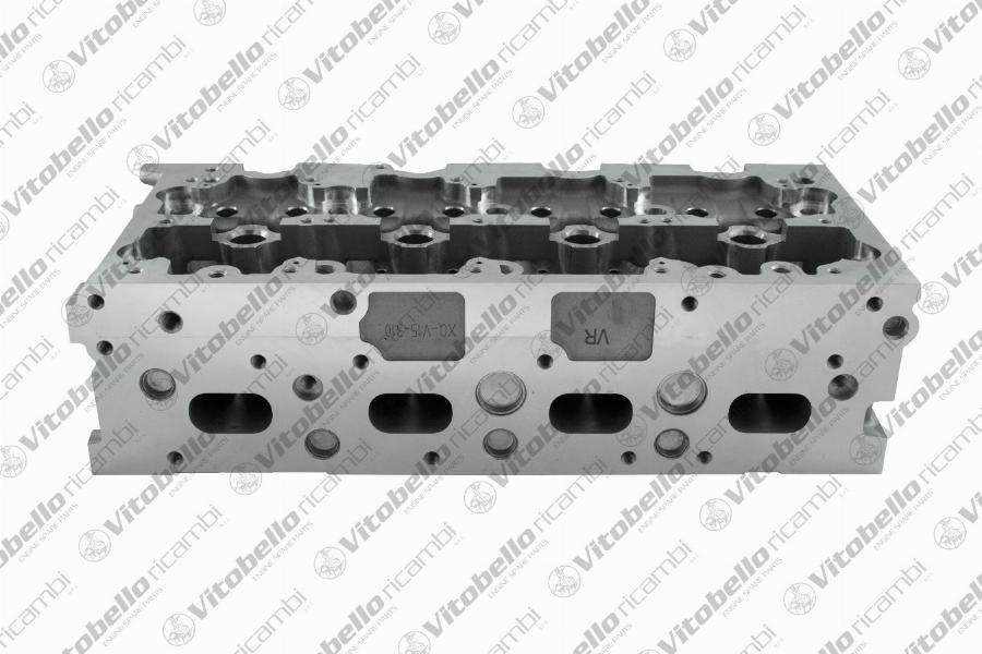 Vitobello Ricambi 1005516N - Cylinder Head car-mod.net