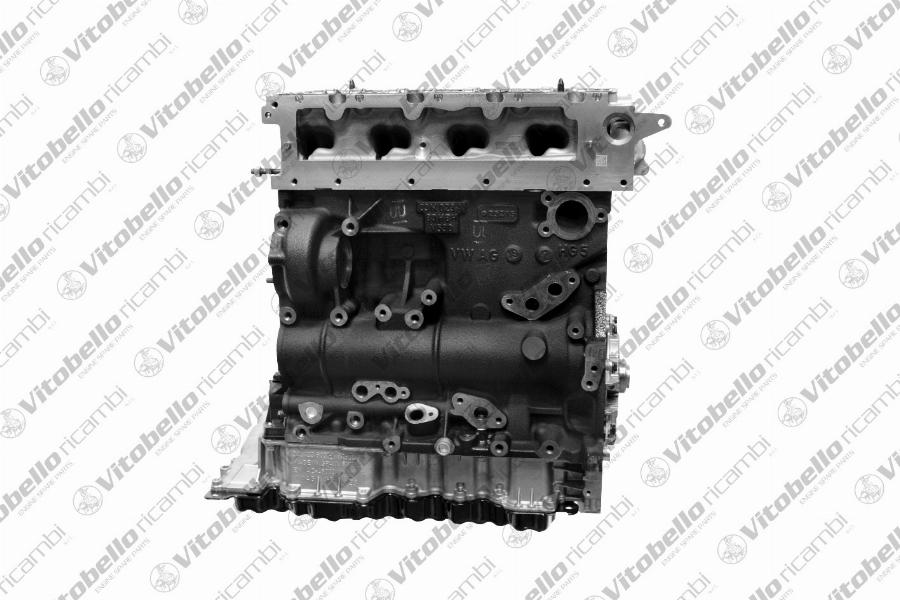 Vitobello Ricambi 1001102NO - Complete Engine car-mod.net