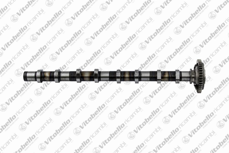 Vitobello Ricambi 1001737N - Camshaft car-mod.net