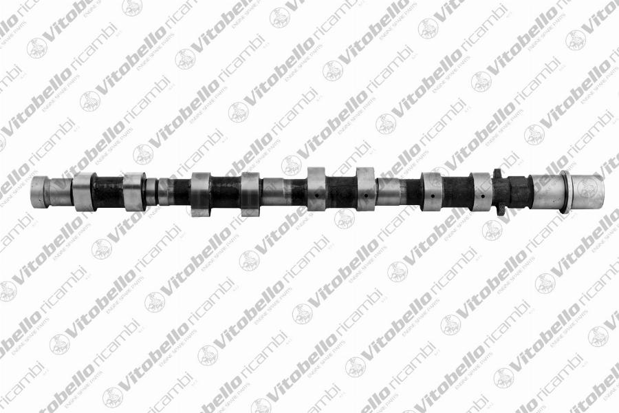 Vitobello Ricambi 1003080N - Camshaft car-mod.net