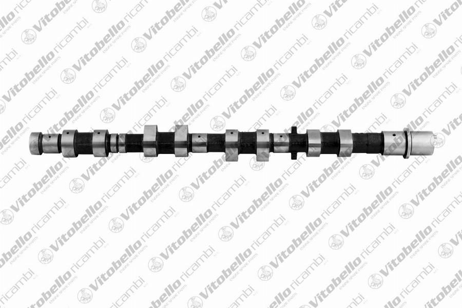 Vitobello Ricambi 1003081N - Camshaft car-mod.net